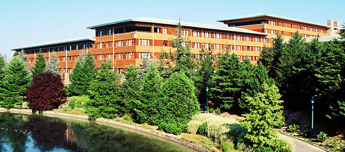 Hotell Disney's Sequoia Lodge®  – Utvalt av Ving
