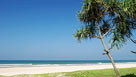 Bentota