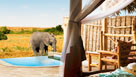 Safaris