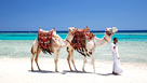 Marsa Alam