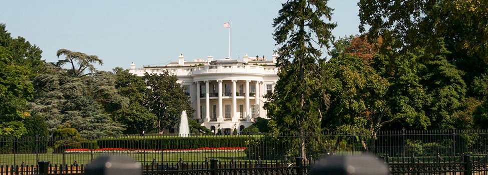 Washington D.C
