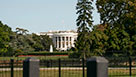 Washington D.C