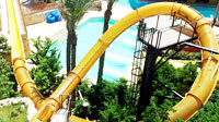 Aqua Loop