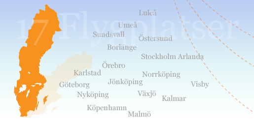 Flygavgångar vintern 2010/2011
