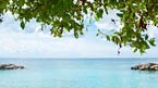 De Palm Island