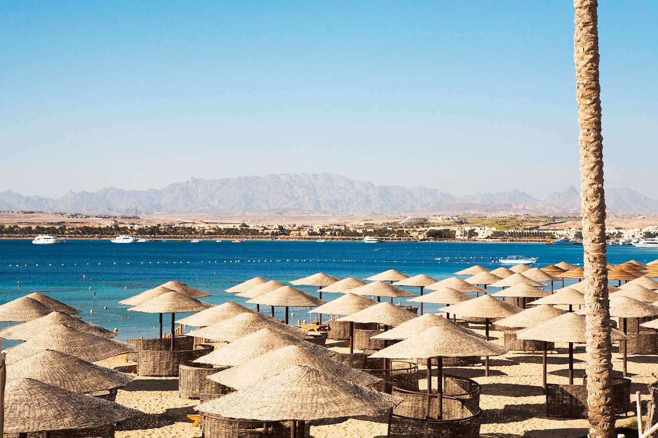 Image Result For Family Garden Ving Image Result For Family Garden Ving